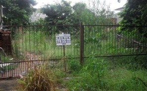 Desde o início do ano prefeitura de Maringá multou 350 donos de imóveis que estavam com mato alto ou entulho